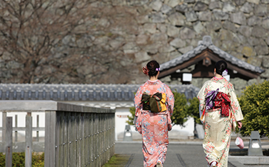 写真・動画撮影